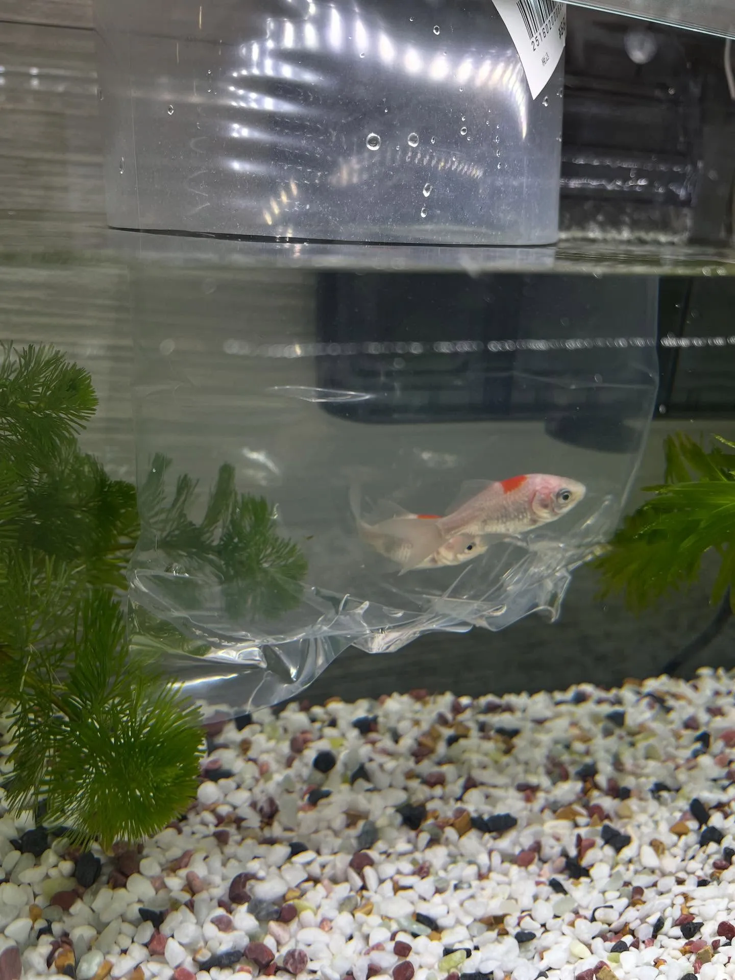 寝屋川あおば腰痛整体院が初めての方へ