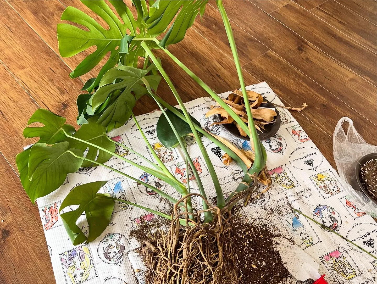 寝屋川あおば腰痛整体院が初めての方へ