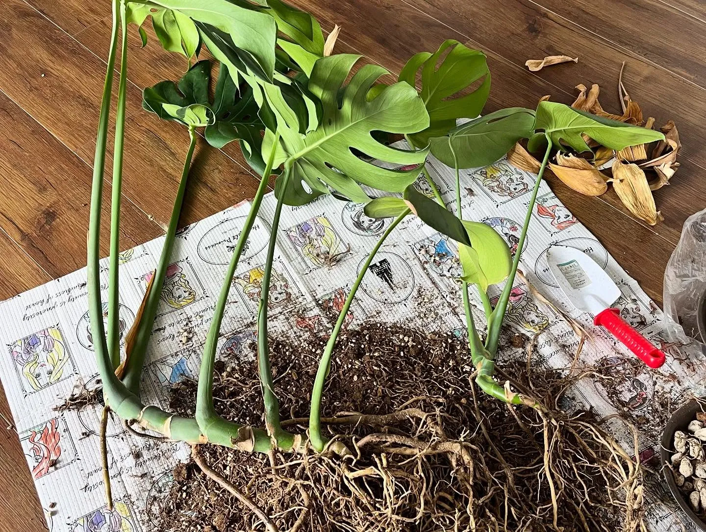 寝屋川あおば腰痛整体院が初めての方へ