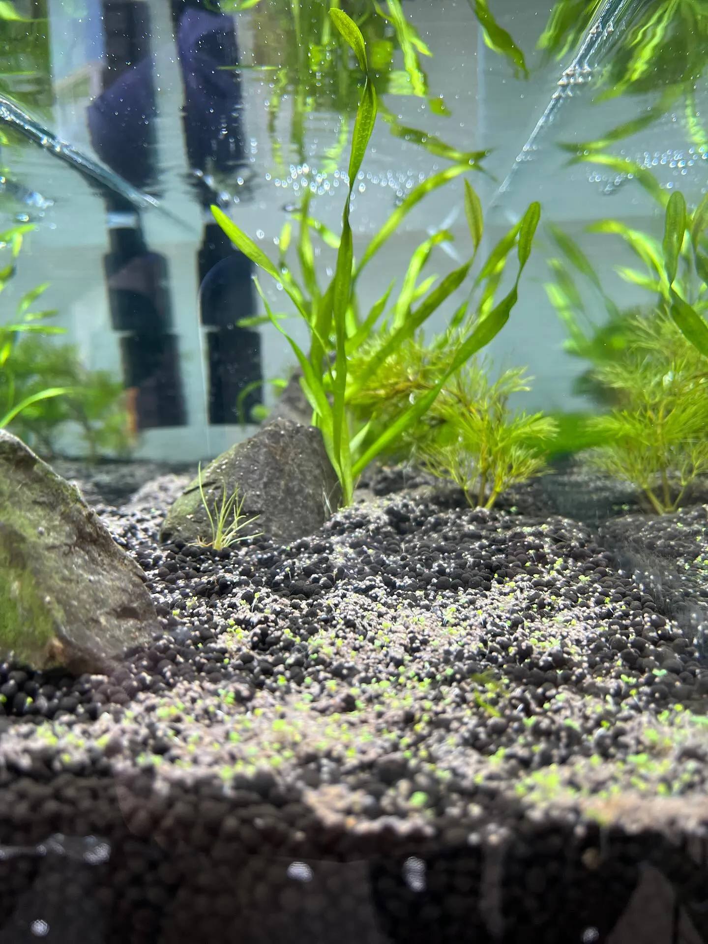 はじめての来院をご検討中の方へ